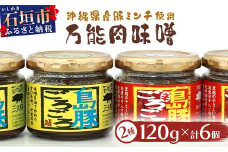 島豚ごろごろ 島唐辛子入り【ピリ辛】×3個・沖縄のおふくろの味×3個 ※人気の2種類セット【沖縄 石垣 みそ ミソ 肉味噌 島唐辛子 調味料】AD-2