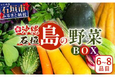 沖縄県 石垣島産 新鮮 やさい BOX 【 島の野菜 詰め合わせセット 】1箱（定番・旬のお野菜６~８種類）｜沖縄 石垣島 産地直送 旬 新鮮 島野菜 野菜セット 野菜 やさい 季節のお野菜 詰め合わせ CK-1