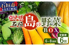 ▼【６回定期便】石垣島産 野菜BOX ≪定番・旬の野菜 ６~８種類≫（1箱×6回）季節の野菜パワーをあなたに！！｜沖縄 石垣島 直送 旬 新鮮 島野菜 野菜セット 野菜 やさい 季節のお野菜 旬の野菜セット やさいセット 島野菜 島やさい 詰め合わせ 定期便 野菜定期便 CK-3