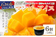 マンゴーアイス 6個（1個 60g）【石垣島 石垣市 沖縄県石垣市 セット アイス 石垣島産 八重山 マンゴー 牛乳 完熟マンゴー】 PI-1