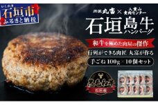 行列のできる 肉匠丸富からお届け‼︎《黒毛和牛》石垣島 島牛ハンバーグ 100g×10個  |和牛 牛肉 冷凍 ハンバーグ 人気 おすすめ 国産 国産牛 小分け 八重山食肉センター 黒毛和牛専門店 肉匠丸富 YC-7