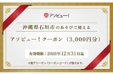 【石垣市】アソビュー！ふるさと納税クーポン（3,000円分）