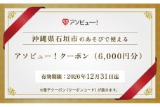 【石垣市】アソビュー！ふるさと納税クーポン（6,000円分）