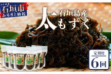 【石垣島産もずく定期便６回】2か月に1回『500g×6パック』を計６回お届けします！【 沖縄県 石垣市 養殖 水雲 海藻 もずく フコイダン  塩もずく 太もずく 沖縄もずく 定期便 定期配送 】SI-100