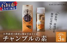 チャンプルの素　25g　瓶入×3本【 沖縄県 石垣島 調味料 万能 石垣島産 】PN-1