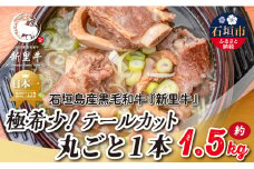 石垣島産 黒毛和牛 新里牛 極希少！ テールカット1本 約1.5kg（1～1.5kg） SZ-43