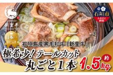 石垣島産 黒毛和牛 新里牛 極希少！ テールカット1本 約1.5kg（1～1.5kg） SZ-43