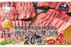 石垣島産 黒毛和牛 新里牛 まるごと焼き肉20種！贅沢食べ比べ 合計4kg SZ-73