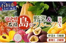 沖縄 石垣島 新鮮 島やさい・くだもの BOX 【 野菜・フルーツ 詰め合わせセット 】1箱 ≪お野菜4～5種類、フルーツ1~2種類≫ ｜沖縄 石垣島 産地直送 旬 果物 フルーツ 新鮮 島野菜 野菜セット 詰め合わせ CK-4