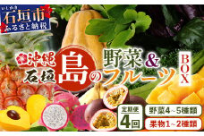 ▼【4回定期便】沖縄県 石垣島の野菜・フルーツBOX ≪野菜4～5種類、フルーツ1~2種類≫（1箱×4回）じょーとーまーさん(とても美味しい) 石垣島の野菜とフルーツの詰め合わせセットをお楽しみください！！｜沖縄 石垣島 直送 旬 果物 フルーツ 新鮮 島野菜 野菜セット 詰め合わせ 定期便 CK-5