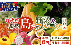 ▼【6回定期便】沖縄県 石垣島の野菜・フルーツBOX ≪野菜4～5種類、フルーツ1~2種類≫（1箱×6回）じょーとーまーさん(とても美味しい) 石垣島の野菜とフルーツの詰め合わせセットをお楽しみください！！｜沖縄 石垣島 直送 旬 果物 フルーツ 新鮮 島野菜 野菜セット 詰め合わせ 定期便 CK-6