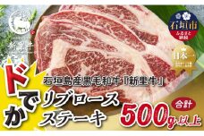 石垣島産 黒毛和牛 新里牛 どデカリブロースステーキ（不定貫200～300g×2）合計500g以上 ステーキ 焼肉 バーベキュー SZ-33