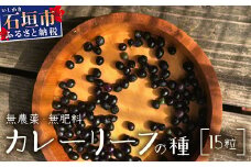 カレーリーフの種　15粒【 沖縄 石垣島 香辛料 種 無農薬 無肥料 】CS-4
