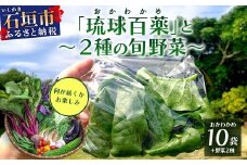 沖縄の健康長寿の秘訣「琉球百薬（おかわかめ）」10袋と旬の野菜詰め合わせ！農薬を使わない栽培方法を続けるミネイさんの野菜【 沖縄 石垣島 石垣島産 野菜 セット 詰合せ 農薬不使用 離島のいいもの 沖縄のいいもの石垣島 】OI-24