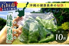 沖縄の健康長寿の秘訣「琉球百薬（おかわかめ）」10袋！農薬を使わない栽培方法を続けるミネイさんの野菜【 沖縄 石垣島 石垣島産 野菜 農薬不使用 離島のいいもの 沖縄のいいもの石垣島 】OI-25