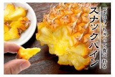 【2025年6月上旬～7月中旬発送】農家直送！石垣島産スナックパイン 4玉入 (約2.4kg) 【 沖縄県 石垣島 石垣市 スナックパイン ポコットパイン ボゴールパイン パインアップル 農家 直送 】TK-9