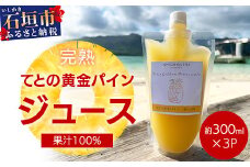 《2026年4月以降順次発送》完熟てとの黄金パインの果汁100％！！濃厚ジュース300ml×3パックをお届け！【 沖縄県 石垣 完熟 パイン パイナップル 黄金 果汁 100％ 】TF-45_R8