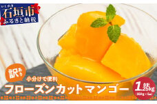 〈訳あり・賞味期限間近〉≪数量限定≫ 石垣産カットマンゴー 1.25kg（250g×5袋）【規格外】YK-8