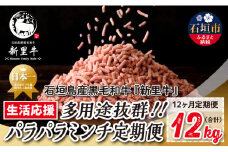 石垣島産 黒毛和牛 新里牛 多用途抜群！パラパラミンチ 定期便全12回（毎月1kg×12回）合計12kg SZ-47