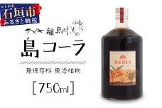 島コーラ BIGサイズ【沖縄県 石垣島 コーラ クラフトコーラ ハーブ ウコン スパイス】CS-3