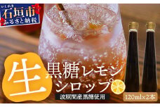 【先行受付】<2025年10月～12月順次発送> 黒糖レモン生シロップ120ml×2本 | 沖縄 石垣 黒糖 波照間 青切り レモン マイヤー メイヤー 生 シロップ | TF-47