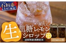 【先行受付】<2025年10月～12月順次発送> 皮まで食べられる!? 果肉入り黒糖レモン生シロップ120ml×2本 | 沖縄 石垣 黒糖 波照間 青切り レモン マイヤー メイヤー 果肉 生 シロップ | TF-48