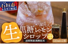 【先行受付】<2025年10月～12月順次発送> 皮まで食べられる!? 黒糖レモン生シロップのみと果肉入りの120ml×各1本の2本セット | 沖縄 石垣 黒糖 波照間 青切り レモン マイヤー メイヤー 果肉 生 シロップ | TF-49