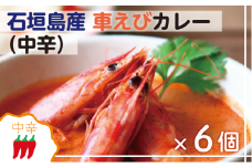 石垣島産車えびカレー（中辛）【冷凍 6食】石垣島のカレー専門店が作るご当地カレー　SK-6