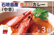 石垣島産車えびカレー（中辛）【冷凍 3食】石垣島のカレー専門店が作るご当地カレー　SK-9