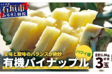 【予約受付】石垣島産 有機パイナップル・ハワイ種 3玉（約2.8kg前後)〈常温〉《7月上旬～順次発送予定》｜パイナップル パインアップル 石垣島パイン フルーツ 果物 くだもの 南国フルーツ 国産パイン E-39