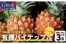 【予約受付】石垣島産　有機パイナップル・ピーチ種 3玉（約2.4kg前後）〈常温〉《６月上旬～順次発送予定》｜パイナップル パインアップル 石垣島パイン フルーツ 果物 くだもの 南国フルーツ 国産パイン　E-40