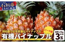 【予約受付】石垣島産　有機パイナップル・ピーチ種 3玉（約2.4kg前後）〈常温〉《６月上旬～順次発送予定》｜パイナップル パインアップル 石垣島パイン フルーツ 果物 くだもの 南国フルーツ 国産パイン　E-40