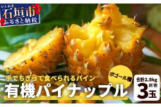 【予約受付】石垣島産　有機パイナップル・ボゴール種 3玉（約2.8kg前後）〈常温〉《６月上旬～順次発送予定》｜パイナップル パインアップル 石垣島パイン フルーツ 果物 くだもの 南国フルーツ 国産パイン　E-41