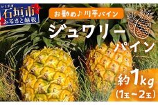 【予約受付】ジュワリーパイン1ｋｇ（1～2玉）お勧め♪川平パイン《2025年7月～8月頃順次発送》KN-1
