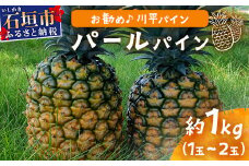 【予約受付】パールパイン1ｋｇ（1～2玉）お勧め♪川平パイン《2025年7月～8月頃順次発送》KN-2