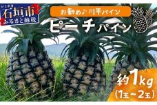 【予約受付】ピーチパイン1ｋｇ（1～2玉）お勧め♪川平パイン《2025年5月～11月頃順次発送》KN-4