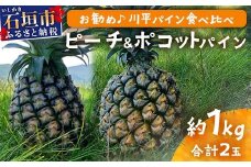 【予約受付】ピーチ＆ポコットパイン食べ比べ 1ｋｇ（計２玉）お勧め♪川平パイン《2025年5月～10月頃順次発送》KN-5