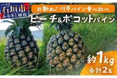 【予約受付】ピーチ＆ポコットパイン食べ比べ 1ｋｇ（計２玉）お勧め♪川平パイン《2025年5月～10月頃順次発送》KN-5