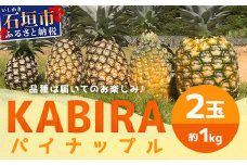 【予約受付】【KABIRAパイナップル2玉1kg以上】♪品種は届いてのお楽しみ♪《2025年5月以降順次発送》MF-1