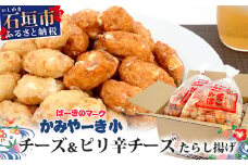 チーズ＆ピリ辛チーズたらし揚げ【 沖縄県 石垣市 石垣島 特産 かまぼこ 色々 バラエティー セット たらし揚げ 】B-4