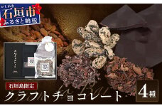 石垣島限定クラフトチョコレート　4種セット【 沖縄県 石垣市 石垣島 クラフト チョコ 限定 カカオ 】FC-1