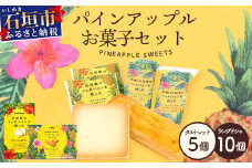 石垣島のティダパインを使ったパインアップル「タルトレット5個入」＋「ラングドシャ10個入」【 沖縄 石垣市 石垣島 八重山 特産 パイン 焼菓子 タルト ラングドシャ 】SU-3