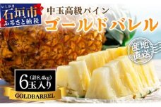 【先行予約】石垣島産 中玉ゴールドバレル６玉 合計約8.4kg《2025年夏季 順次発送》【 沖縄 石垣 パイン パイナップル フルーツ くだもの 果物 産地直送 】SI-116