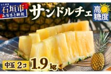 【先行予約】石垣島産 中玉サンドルチェ２玉 合計約1.9kg《2025年夏季 順次発送》【 沖縄 石垣 フルーツ パイナップル パイン サンドルチェ 産地直送 】SI-106