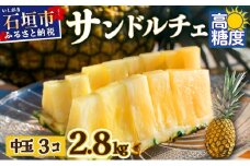 【先行予約】石垣島産 中玉サンドルチェ３玉 合計約2.8kg《2025年夏季 順次発送》【 沖縄 石垣 フルーツ パイナップル パイン サンドルチェ 産地直送 】SI-107