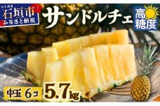 【先行予約】石垣島産 中玉サンドルチェ６玉 合計約5.7kg《2025年夏季 順次発送》【 沖縄 石垣 フルーツ パイナップル パイン サンドルチェ 産地直送 】SI-109