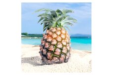【先行予約】石垣島産 中玉ピーチパイン ４玉 合計約3.2kg《2025年夏季 順次発送》【 沖縄県石垣市 石垣島 フルーツ 果物 パイン 産地直送 】SI-118