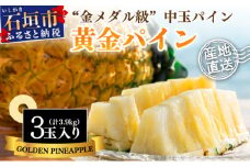 【先行予約】石垣島産 中玉 黄金パイン ３玉 合計約3.9kg《2025年夏季 順次発送》【 産地直送 沖縄 石垣 フルーツ パイナップル パイン 黄金パイン 】 SI-121