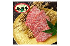 石垣牛 特選 肩ロース 焼肉 400g  沖縄県 石垣市 石垣島 肩ロース ロース 焼き肉 牛肉 黒毛和牛 E-44