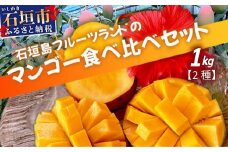 産地直送！石垣島産 マンゴー 食べ比べセット 約1kg (2種)  (2025年6月中旬～8月下旬発送)